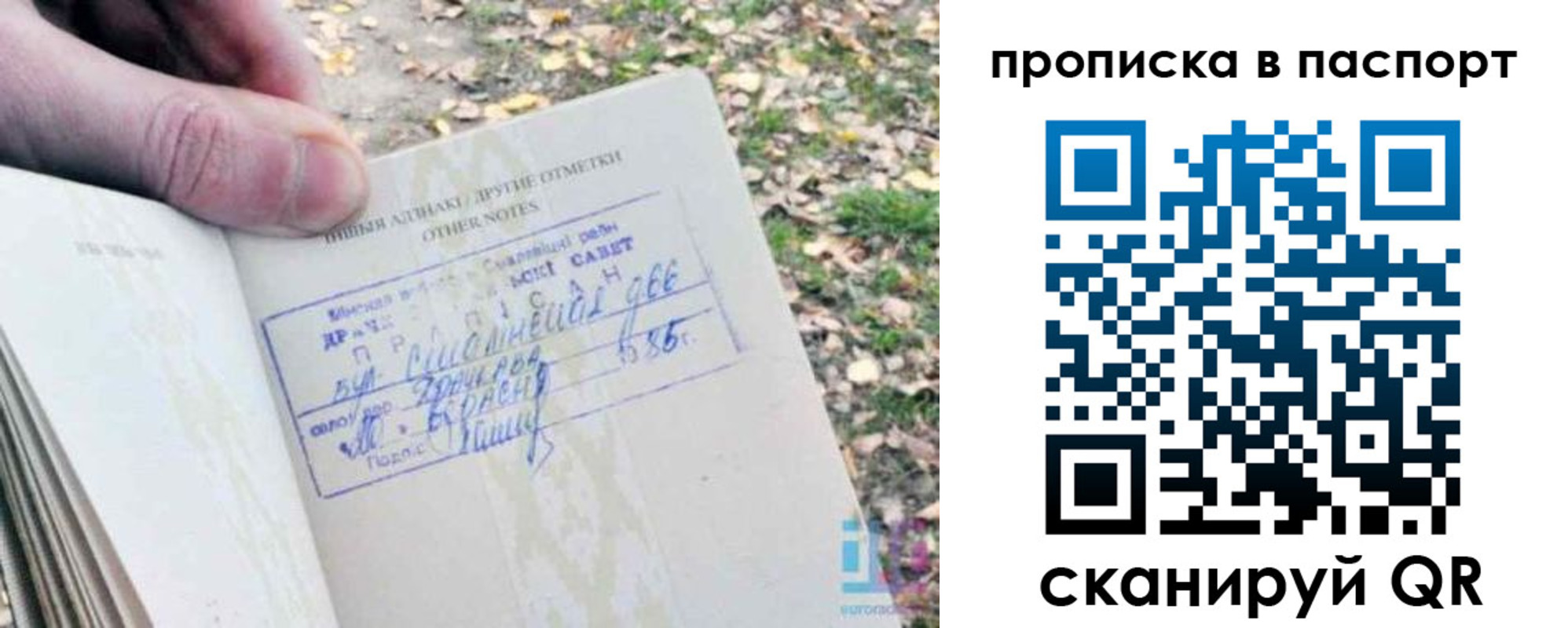временная регистрация собственник в Бикине